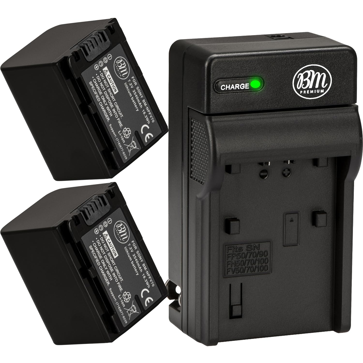 Amazon.com : Pack Of 2 NP-FV70 Batteries & Battery Charger Kit for